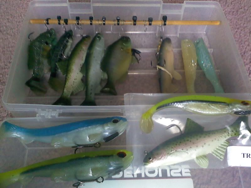 Swimbait storage Fishing Tackle Bass Fishing Forums